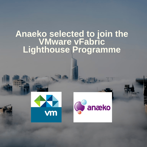 anaeko-selected-to-join-the-vmware-vfabric-lighthouse-programme
