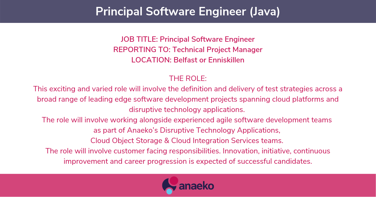 what does a principal software engineer do